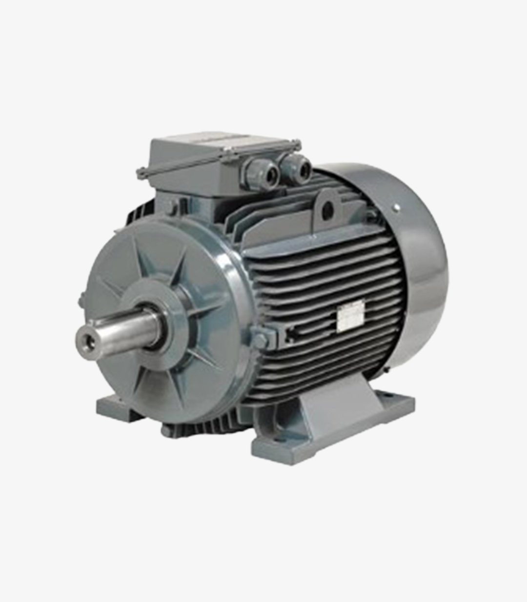 ÜRÜN (71) 4 KW 3000 DD MOTOR - Görsel 1