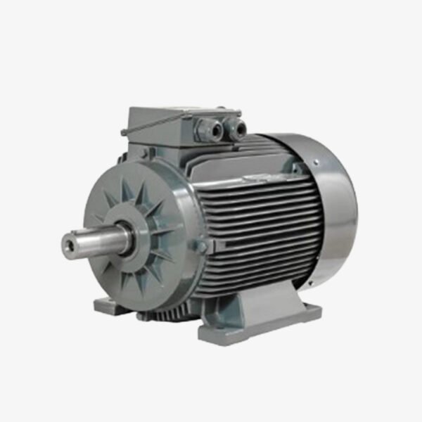 5.5 KW 3000 DD MOTOR