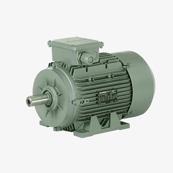 15 KW 3000 DD MOTOR