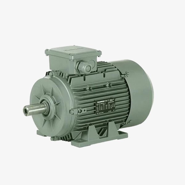 18.5 KW 3000 DD MOTOR